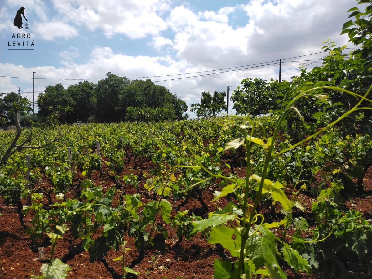 Agro Levita Locorotondo Ngoại thất bức ảnh